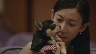 映画『ペット』×「Honda Dog」特別動画