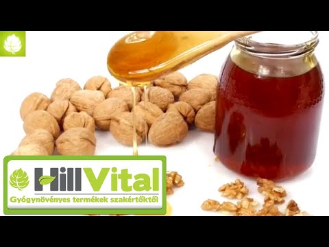 A mézes dió elképesztő hatásai 🍯 - HillVital