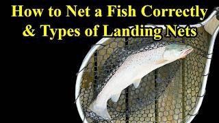 How to Net a Fish Correctly & Types of Fishing Landing Nets
