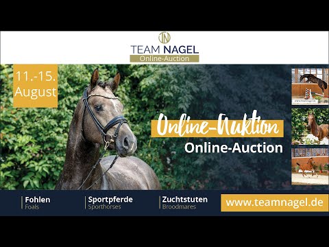 Aution Team Nagel 2021   Trailer v3