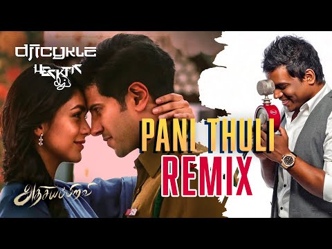 ICYKLE - PANI THULI Remix ft DJ Hecktic | Sita Ramam MV | Best of Yuvan!
