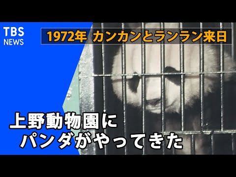 パンダが初めて日本にのサムネイル