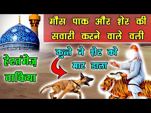 Video Pronunciation of Sher in English