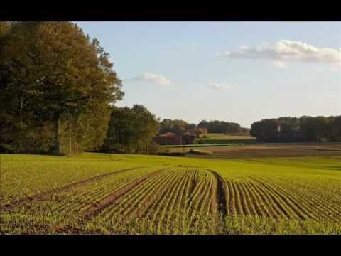 ALAM LOHAR   MIRZA DEKH SHABIR NU  ALAM LOHAR ‏   YouTube