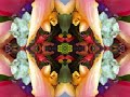 Take It Easy By Linda Ronstadt Jackson Browne In San Jose CA 11 22 75