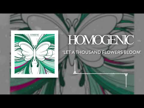 Homogenic - Am I (Official Audio)