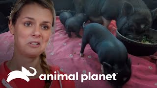 Thumbnail del capítulo