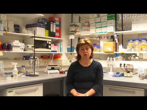 Clinical practice guidelines for laboratory diagnosis of EB, C. Has et al