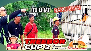 Download lagu MURAI BATU BARONGSAI MASIH  BISA BERSAING DI TREEBOR CUP 2 mp3