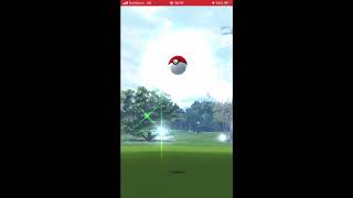 本当は雨が降ってるよ【ポケモンGO】