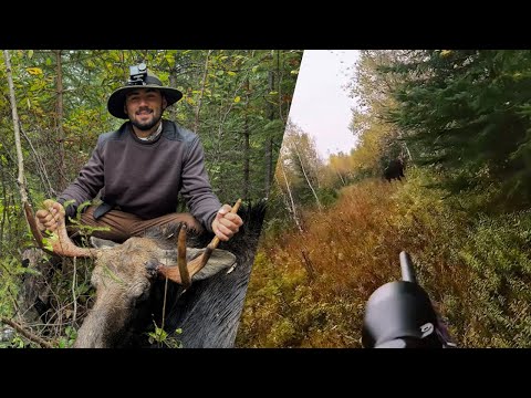 Chasse à l'orignal zone 28 -2024
