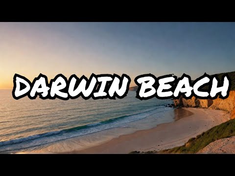 Is This the Best Beach Drive in the World?