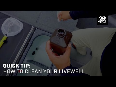 Quick Tip: How to Clean Your Livewell
