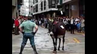 preview picture of video 'Carrera de burros en Padron 2013'