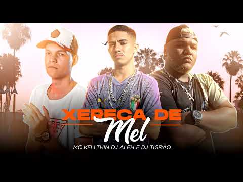 XERECA DE MEL-MC KELLTHIN (DJ Aleh e DJ Tigrão)