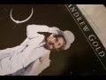 Andrew Gold - Thank You For Being a Friend LP ...