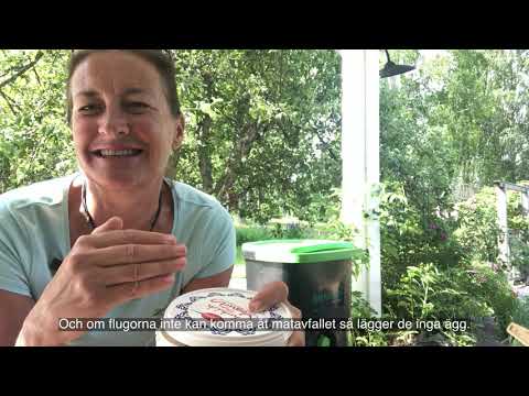 Jenny från bokashi.se - Del 20 - Fluglarver i bokashihinken?