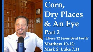 Come Follow Me LDS-  Matthew 10-12, Mark 2, Luke 7,11 Part 2