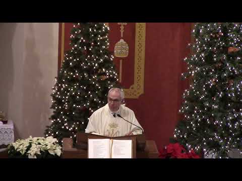 Homily, Solemnity of the Blessed Virgin Mary, Mother of God - Fr. Hahn