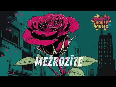 Mežrozīte (Namaste House Music remix) #namastehousemusic #housemusicremix