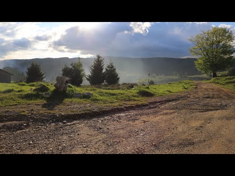 Drum Vadu Dobrii - Lunca Cernii de Jos