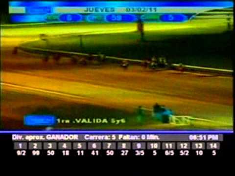 Resumen Jueves 4 de febrero 2011 - Valencia