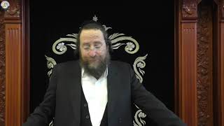 הדף היומי מסכת יבמות דף יד