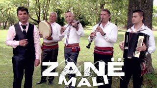 Bledar Alushaj - Zane Mali