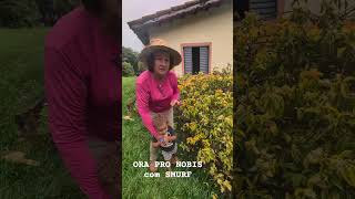 ORA PRO NOBIS e um SMURF