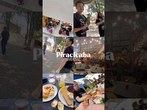 こども文化学科 いずれPiracicabaまとめ動画を作ります😋🌟 #Brasil #Piracicaba #サンパウロ #ブラジル #海外旅行 #旅行 #MASH弦楽団 #MASHSTRINGS
