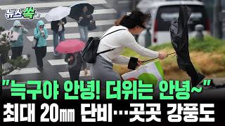 늑구 앓이는 식지 않지만, 더위는 식었어요 최고 30도 더위 싹 식혀줄 단비 내린다…초속 20ｍ 이상 강풍도 [뉴스쏙]/ 연합뉴스TV(YonhapnewsTV)