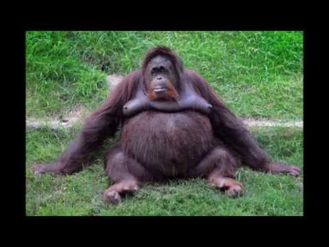 Happy Birthday! Oh Yeah! It's Your Birthday Bubba!