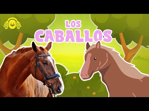 Curiosidades de  CABALLOS.🐴 Características Fascinantes de LOS CABALLOS.Vídeos caballos para niños