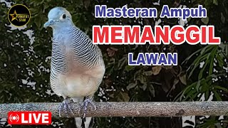 Download lagu Perkutut Lokal Gacor spesial pemikat paling cepat bikin NYAUT mp3 Download lagu Perkutut Lokal Gacor spesial pemikat paling cepat bikin NYAUT mp3