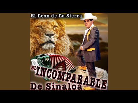 download lagu mp3 mp4 Catitan, download lagu Catitan gratis, unduh video klip Catitan