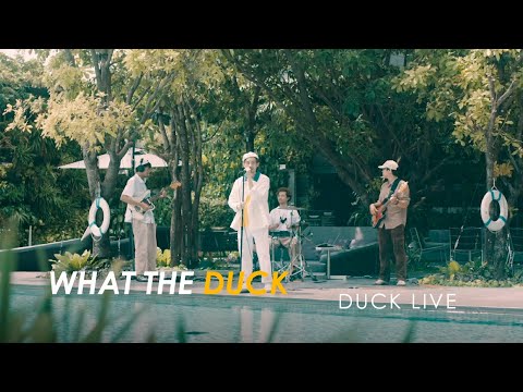 Duck Live 84 - Melbourne - Morvasu