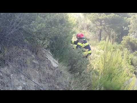 Bordighera, l'incendio boschivo sul Montenero si estende vicino all'A10