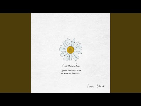 Quarta-feira (não fui eu)