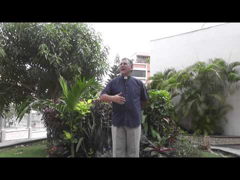 EVANGELIO 25 DE MARZO 2014