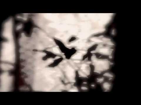 Sylvie Marks - Light of Tree