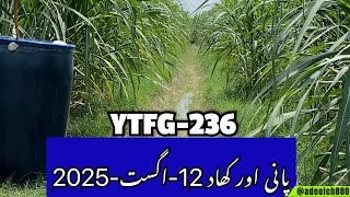 YTF-236