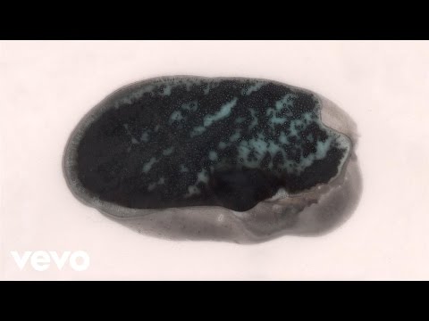 Tall Ships - Day By Day (Official Audio)