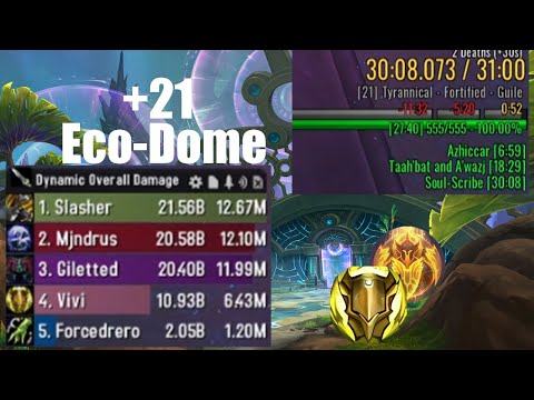 +21 Eco-Dome no comms pug - Lightsmith Prot Paladin PoV