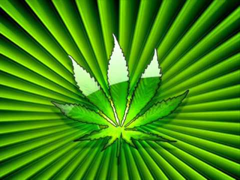 Dim4ou Eal instr by Qvkata Dlg