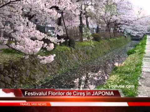 Festivalul Florilor de Cires in JAPONIA