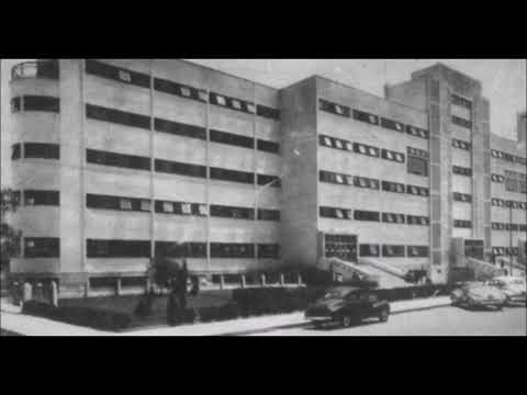 6.- Sociedad Cooperativa - Napoleón Nogueda