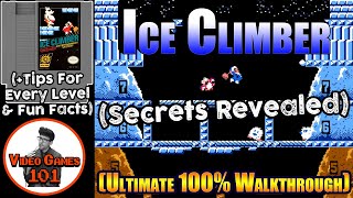 Ice Climber Walkthrough | 100% Guide | Video Games 101