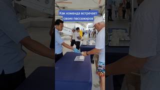 Как команда лайнера встречает своих пассажиров #mscseaside #nicemusic #umarkeyn
