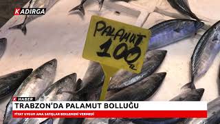 📌 TRABZON’DA PALAMUT BOLLUĞU  🗣️Fiyat Uygun Ama Satışlar Bekleneni Ver