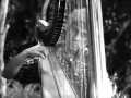 CAPTAIN BEEFHEART -- GIMME DAT HARP, BOY